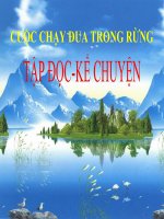 Bài giảng tiếng việt 3 tuần 28 bài kể chuyện   cuộc chạy đua trong rừng 