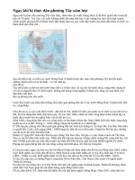 Phong trào đấu tranh giải phóng dân tộc của các nước Đông Nam Á