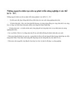 Những nguyên nhân nào tạo nên sự phát triển nông nghiệp ở các thế kỉ X - XV ?