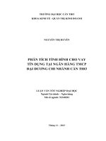 phân tích tình hình cho vay tín dụng tại ngân hàng tmcp đại dương chi nhánh cần thơ