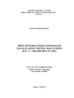 phân tích hoạt động kinh doanh tại ngân hàng thương mại cổ phần bắc á – chi nhánh cần thơ