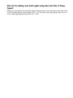 Hãy kể tên những cuộc khởi nghĩa nông dân tiêu biểu ở Đàng Ngoài.