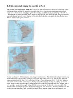 Chủ nghĩa tư bản xác lập trên phạm vi thế giới - Lịch sử 8