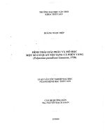 hình thái giải phẩu và mô họ cá phèn vàng