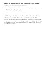 Hãy nêu những nét tiêu biểu của văn hoá Cam-pu-chia và văn hoá Lào