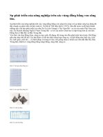 Bước phát triển mới về xã hội được nảy sinh như thế nào ?