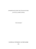 Goodness of fit tests for continuous time financial market models