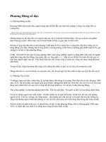 Xã hội cổ đại