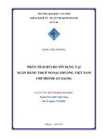 phân tích rủi ro tín dụng tại ngân hàng tmcp ngoại thương việt nam chi nhánh an giang