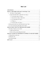 Hoàn thiện phân tích tài chính doanh nghiệp ở tại Công Ty Cổ Phần Thương Mại Nam Thăng Long