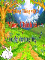 Bài giảng tiếng việt 3 tuần 28 bài chính tả   nghe   viết cuộc chạy đua trong rừng, phân biệt ln, dấu hỏi dấu ngã 