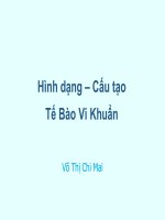 Bài giảng hệ hình dạng cấu tạo tế bào vi khuẩn 