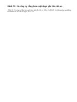 So sánh công cụ ở hình 20 với các công cụ ở hình 21, 22, 23.