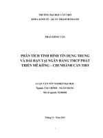 phân tích tình hình tín dụng trung và dài hạn tại ngân hàng tmcp phát triển mê kông – chi nhánh cần thơ