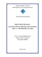 phân tích tín dụng tại ngân hàng thương mại cổ phần việt á  chi nhánh cần thơ
