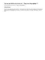 Câu hỏi 9- (Mục I Bài 6 - SGK Trang 43) Lịch sử 8