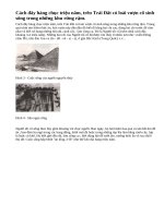 Con người đã xuất hiện như thế nào ?