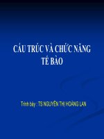 Giáo trình cấu trúc và chức năng tế bào 