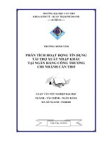 phân tích hoạt động tín dụng tài trợ xuất nhập khẩu tại ngân hàng công thương chi nhánh cần thơ