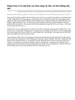 Sự ra đời của các vương quốc cổ ở Đông Nam Á