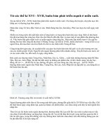 Sự phát triển của thương nghiệp