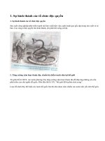 Chuyển biến quan trọng ở các nước đế quốc