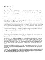 Cải cách tôn giáo và chiến tranh nông dân