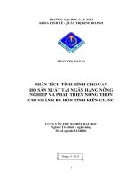 phân tích tình hình cho vay hộ sản xuất tại ngân hàng nông nghiệp và phát triển nông thôn chi nhánh ba hòn tỉnh kiên giang