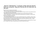 Vua Quang Trung có những chính sách gì để phục hồi, phát triển kinh tế, ổn định xã hội và phát triển văn hoá dân tộc ?