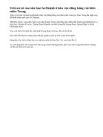 Quốc gia cổ Cham-pa được hình thành như thế nào ?