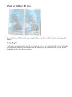 Câu hỏi 6 - (Mục I Bài 3 - SGK Trang 22)Lịch sử 8