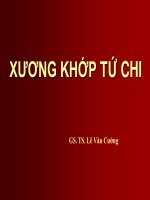 Bài giảng xương khớp tứ chi 