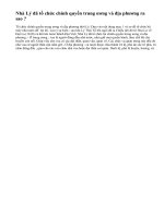 Nhà Lý đã tổ chức chính quyền trung ương và địa phương ra sao ?