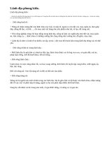 Thế nào là lãnh địa phong kiến ? Đời sống kinh tế và chính trị trong các lãnh địa đó như thế nào ?