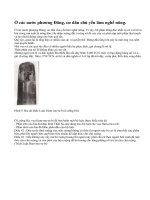 Xã hội cổ đại phương Đông bao gồm những tầng lớp nào ?