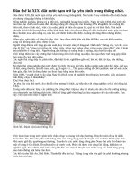 Tình hình kinh tế và chính sách của nhà Nguyễn