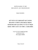 kế toán xác định kết quả kinh doanh và phân tích hoạt động kinh doanh tại công ty xuất nhập khẩu thủy sản cần thơ  caseamex