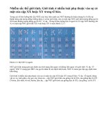 Nhiễm sắc thể giới tính