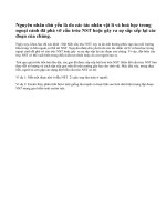 Nguyên nhân phát sinh và tính chất của đột biến cấu trúc nhiễm sắc thể