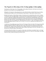 Phát triển cây công nghiệp lâu năm