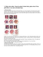 Quá trình phân bào