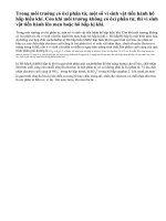 Hô hấp và lên men