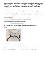 Lý thuyết Quang hợp ở các nhóm thực vật C3 C4 và CAM