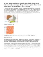 Lý thuyết bài tiêu hóa ở ruột non