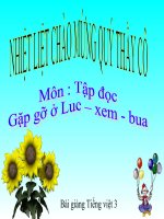 Bài giảng tiếng việt 3 tuần 30 bài tập đọc   gặp gỡ ở lúc xăm bua 