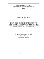 phân tích tình hình tiêu thụ và hiệu quả hoạt động kinh doanh tại công ty tnhh tm tân vinh hoa