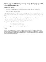 Quang hợp và năng suất cây trồng