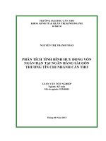 phân tích tình hình huy động vốn ngắn hạn tại ngân hàng sài gòn thương tín chi nhánh cần thơ