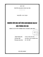 Nghiên cứu bào chế viên gentamicin sulfat giải phóng kéo dài