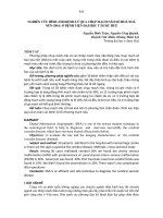 nghiên cứu hình ảnh bệnh lý qua chụp mạch não số hoá xoá nền dsa ở bệnh viện đại học y dược huế 